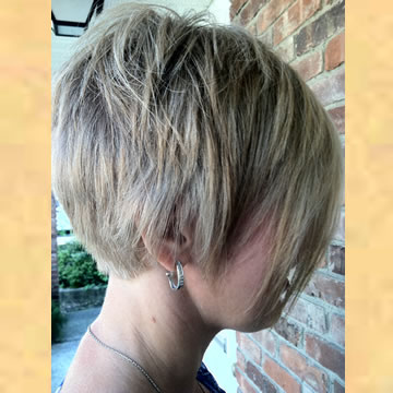 Women's Cuts and Color and More at The Stylist's Chair